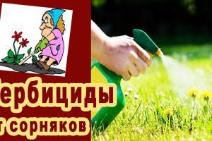 Гербициды