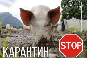 карантин