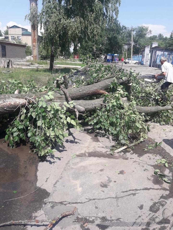 Луганская, непогода