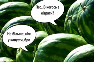 арбуз