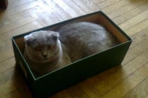 коробка
