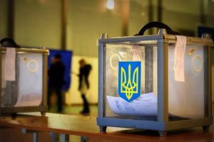 выборы, наблюдатели, Волкер