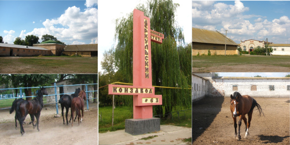 Деркульский конный завод