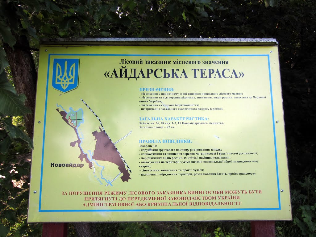 "Айдарская терраса"