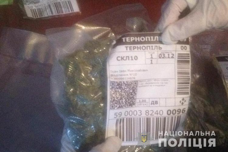 Тернопольская, наркотики