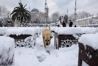 Стамбул, снегопад