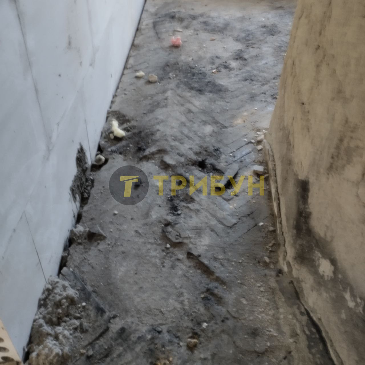 Фото: "ТРИБУН | СХІД"