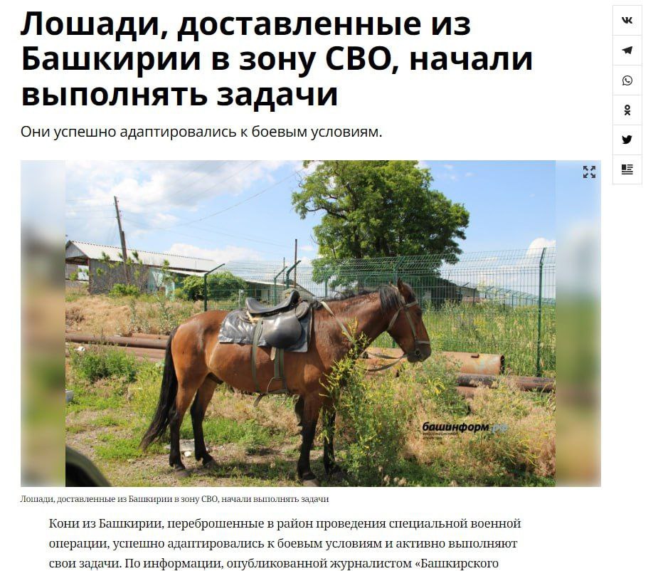 Российским военным на фронт привезли лошадей из Башкирии
