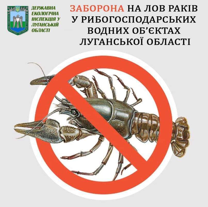 В Луганской области вводится запрет на вылов раков