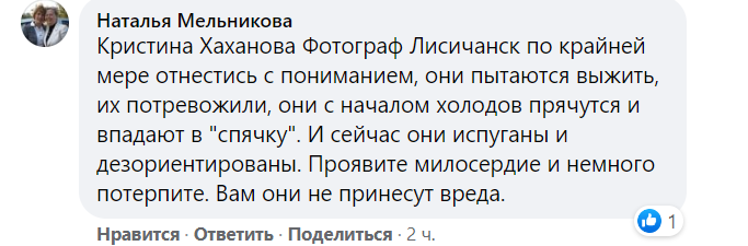 Лисичанск, новости соцсетей