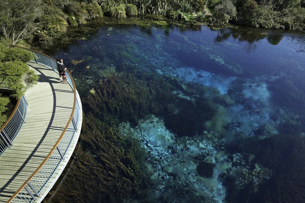 самое чистое озеро в Новой Зеландии