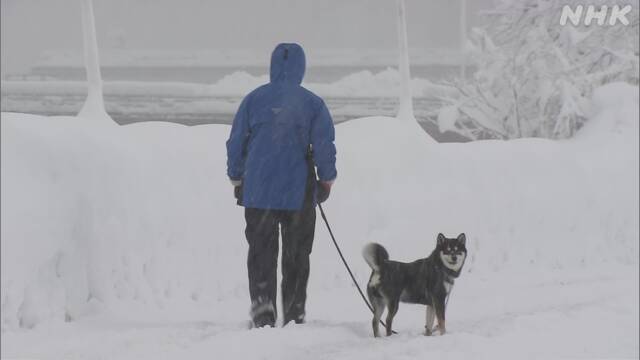 Японию накрыл сильный снегопад