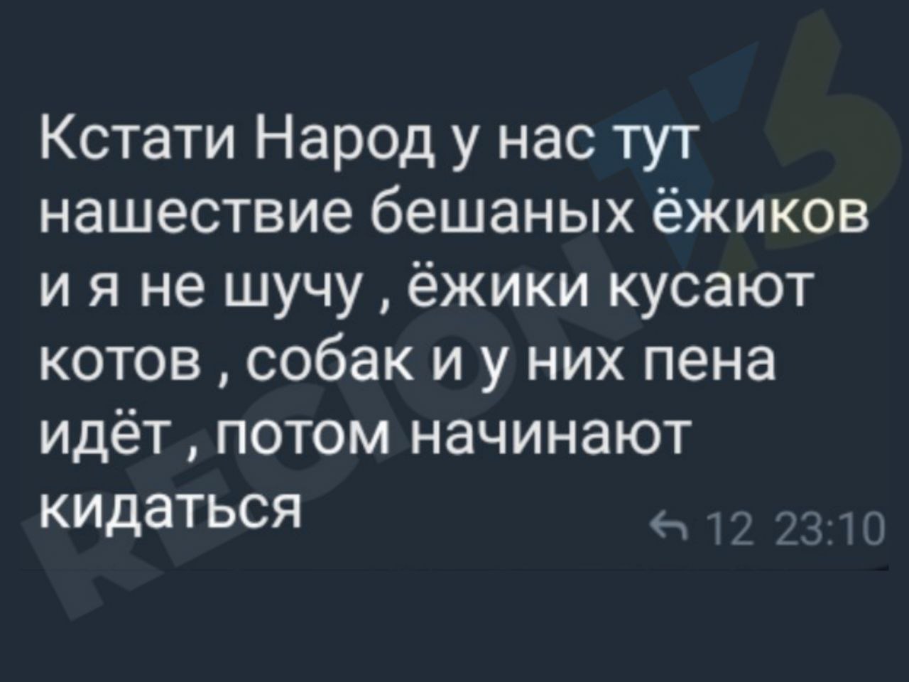 новости соцсетей