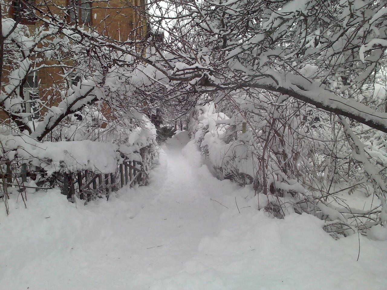 Луганск, снегопад