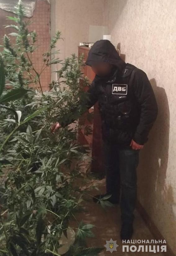 Харьков, наркоторговля