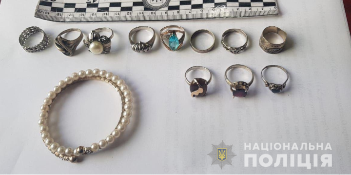 Киевская, полиция, кража