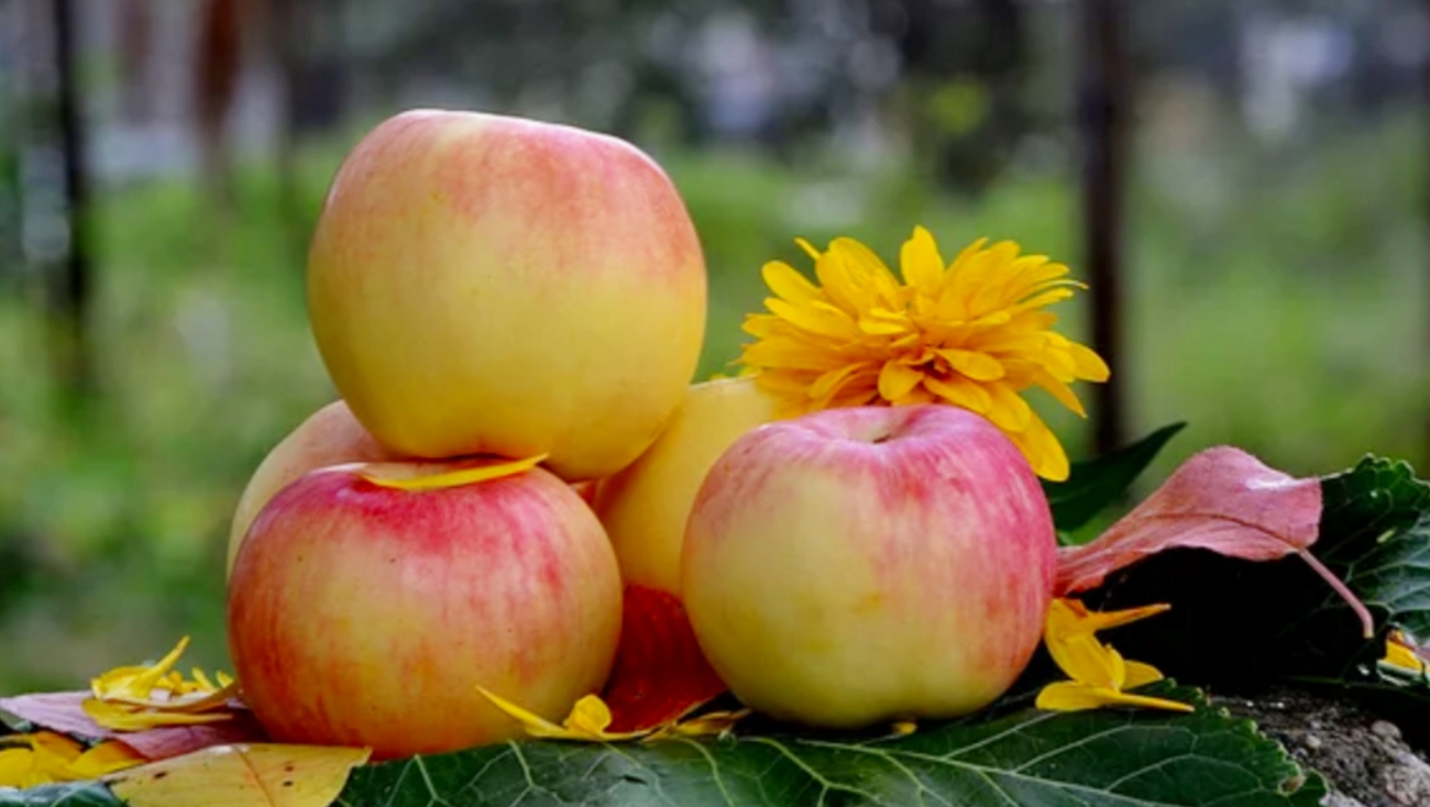 Преображение Господне