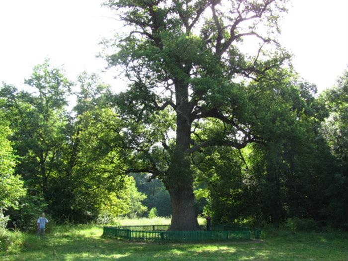 Святогорск