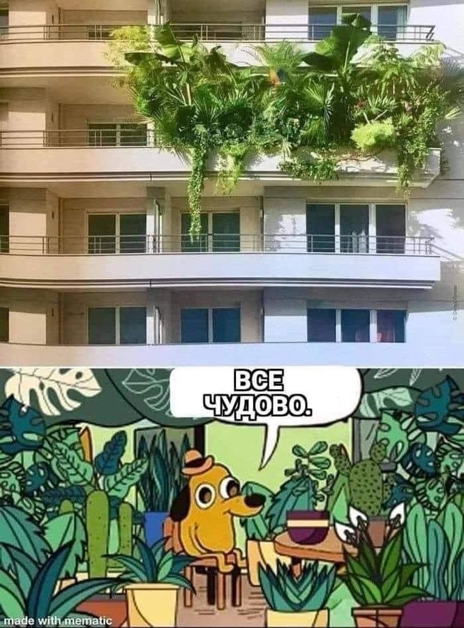 новости соцсетей