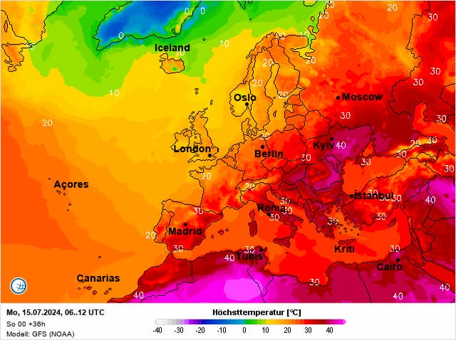 Фото: Facebook Натальи Диденко