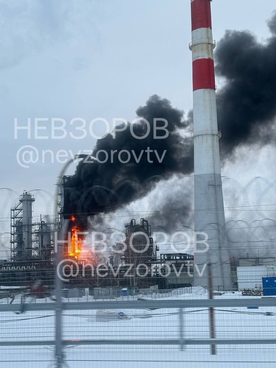 Фото: Александр Невзоров, Telegram