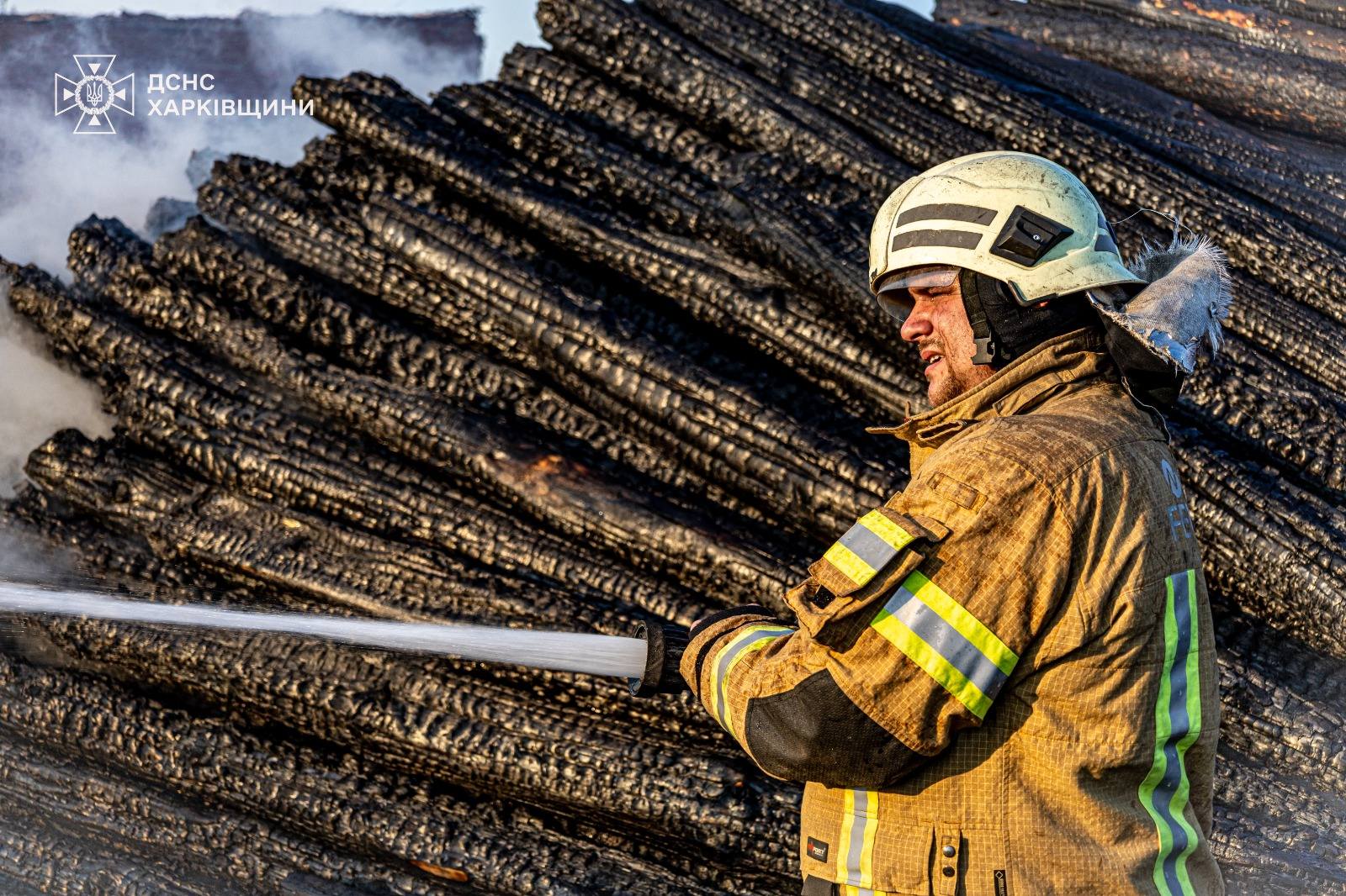 ликвидация пожара на территории Песчанского лесничества на Харьковщине