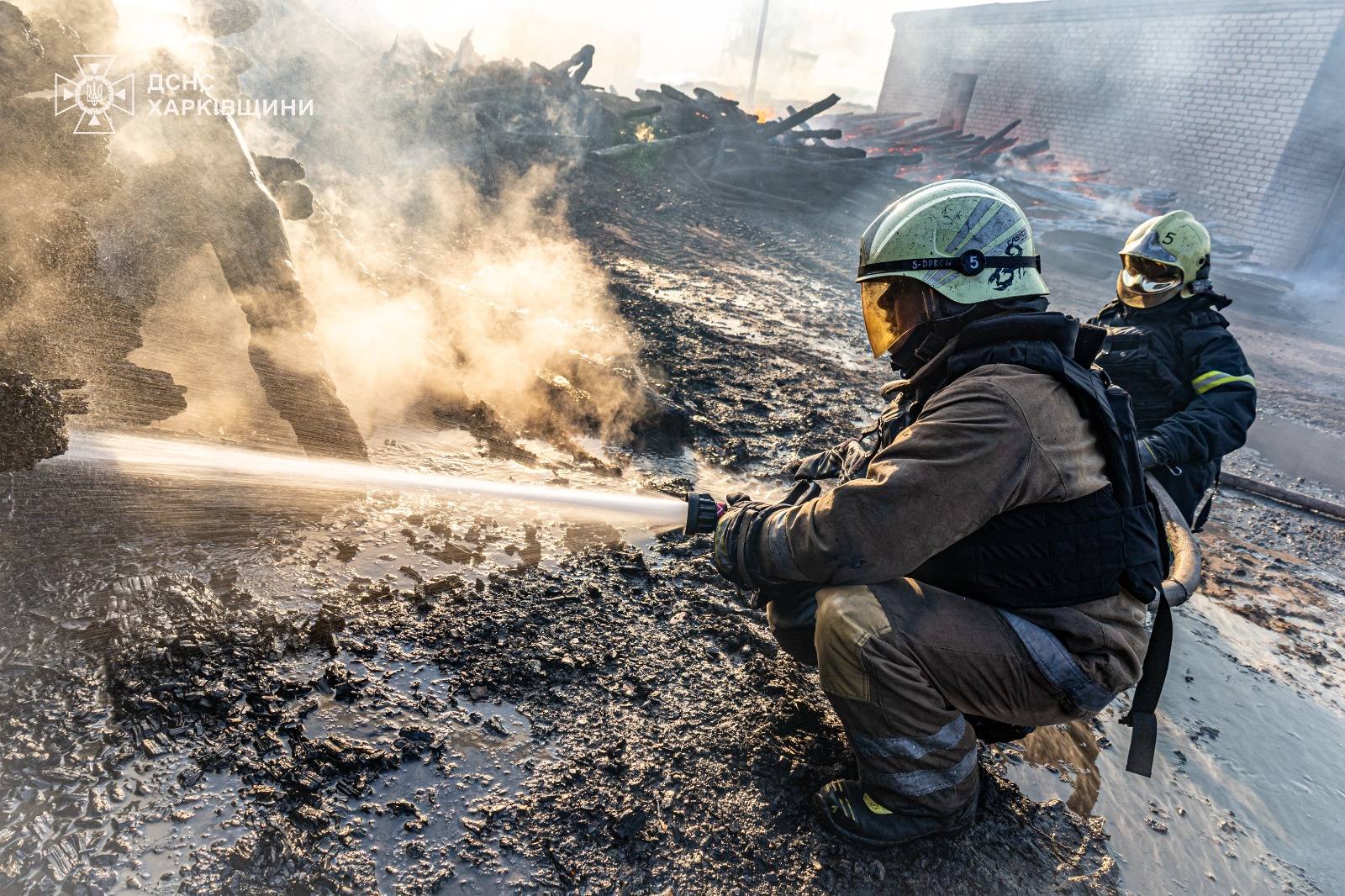ликвидация пожара на территории Песчанского лесничества на Харьковщине