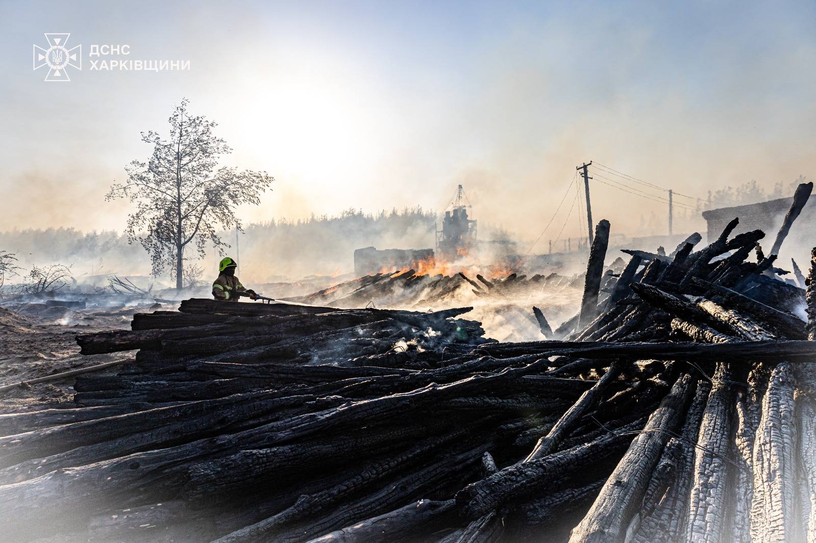 ликвидация пожара на территории Песчанского лесничества на Харьковщине