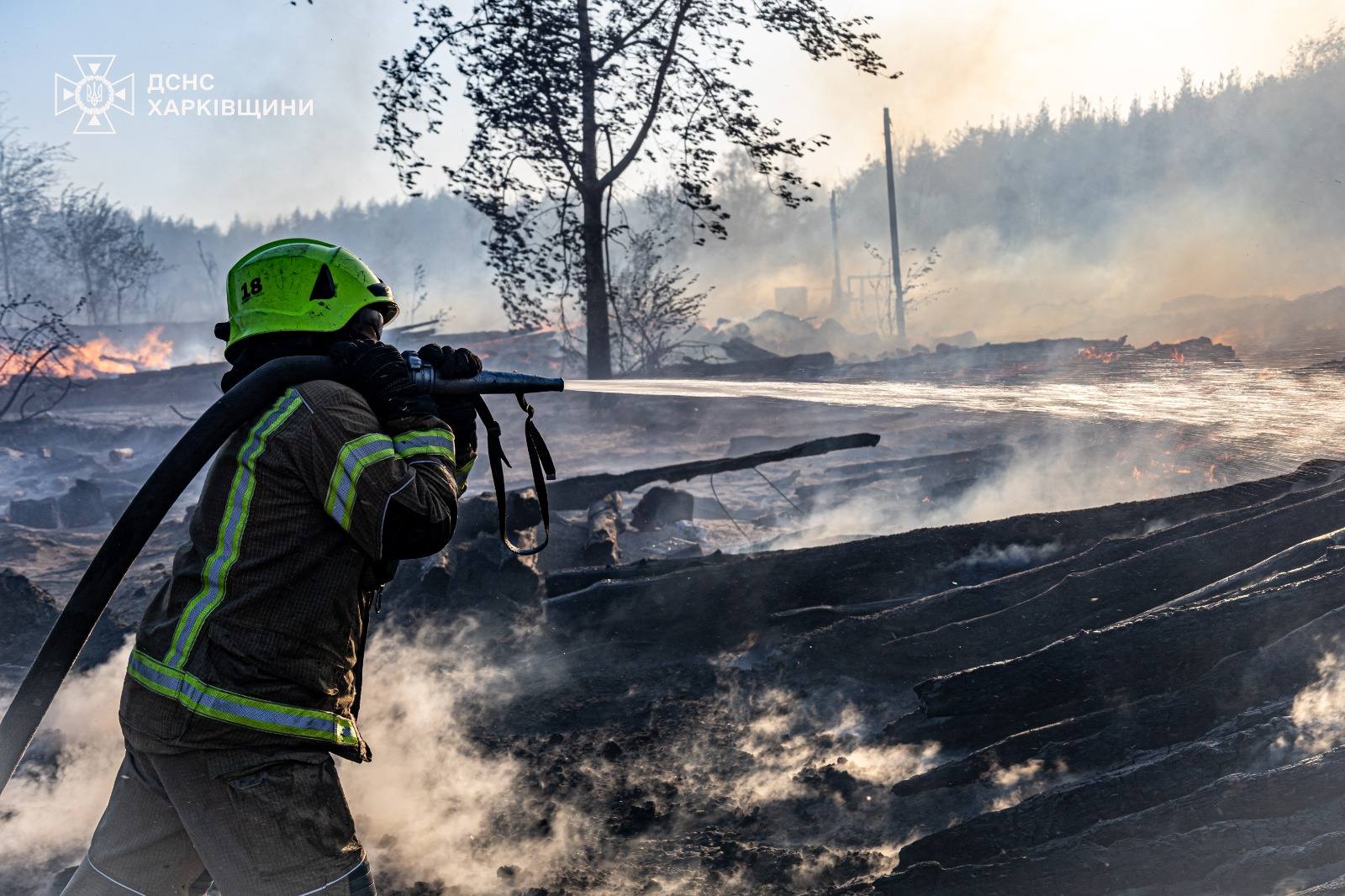 ликвидация пожара на территории Песчанского лесничества на Харьковщине