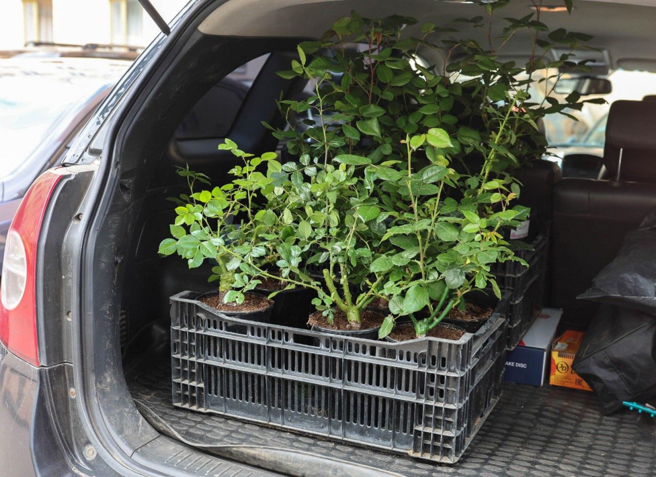 Оккупированный Северодонецк