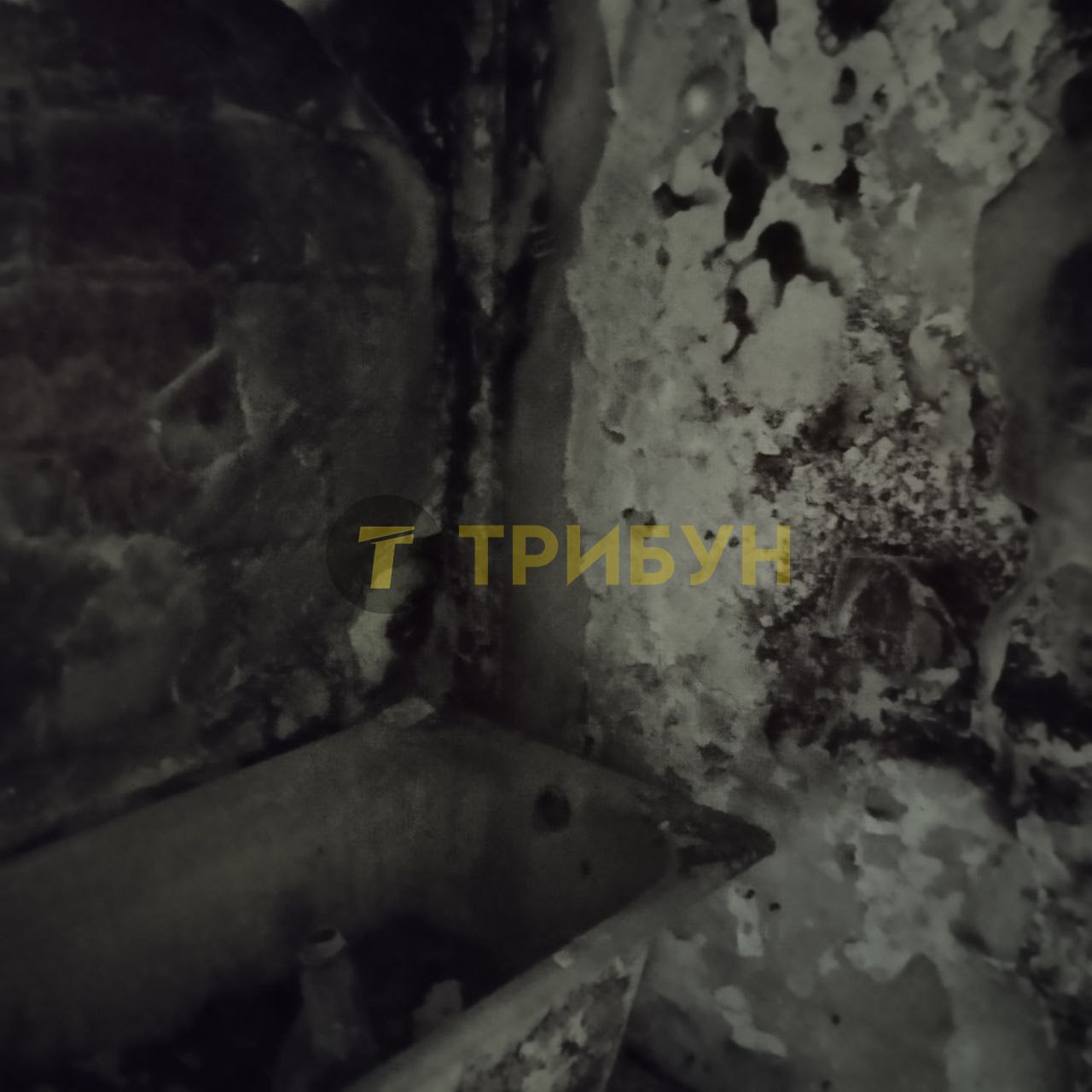 Фото: "ТРИБУН | СХІД"