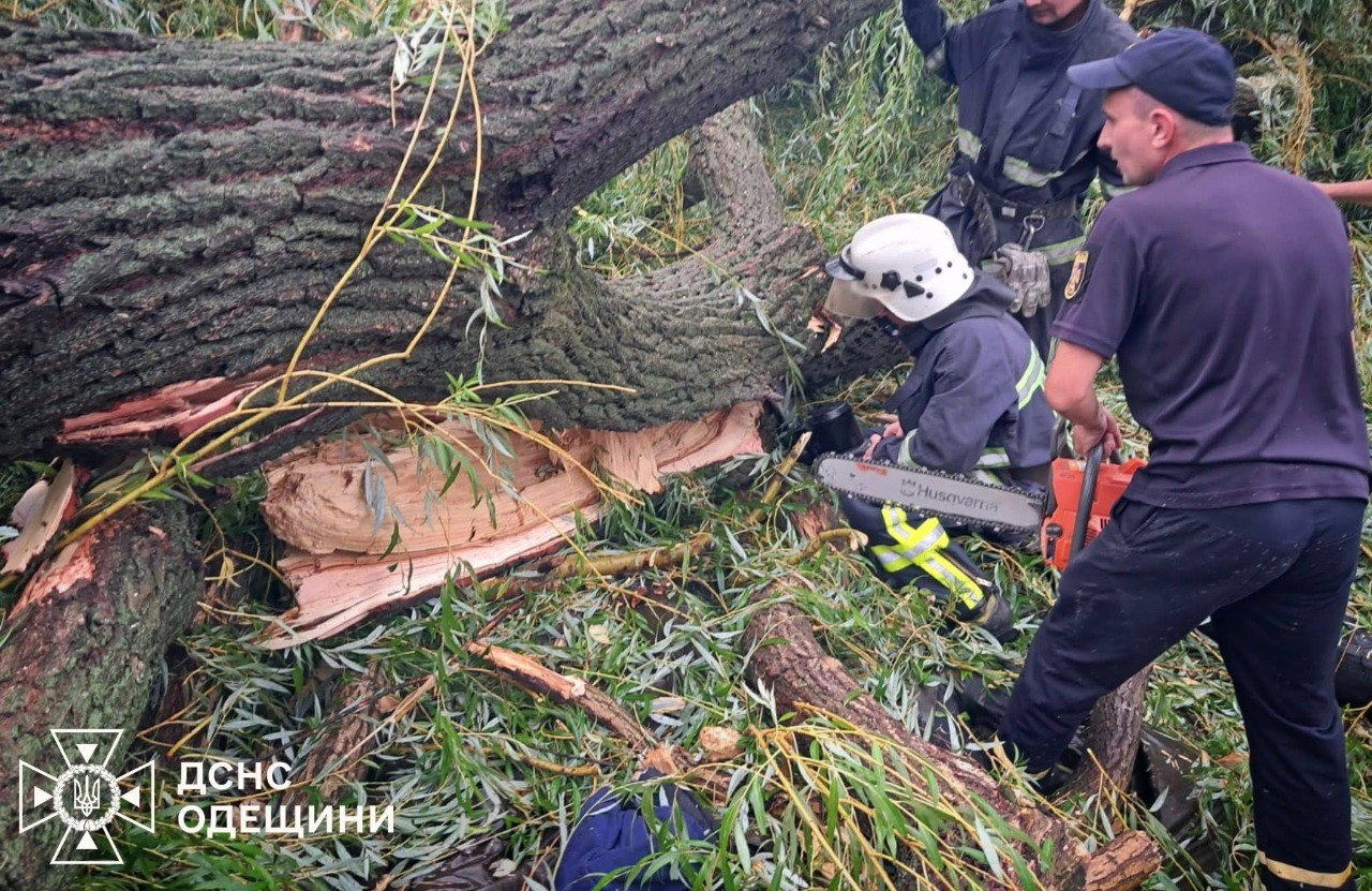 На Одесчине дерево упало на палатку с детьми