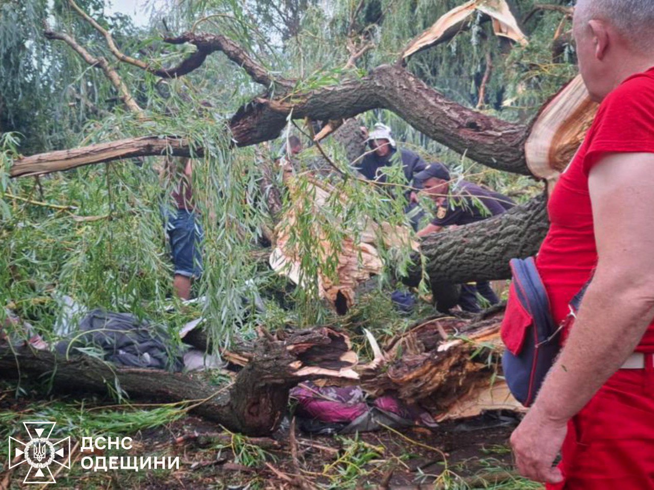 На Одесчине дерево упало на палатку с детьми