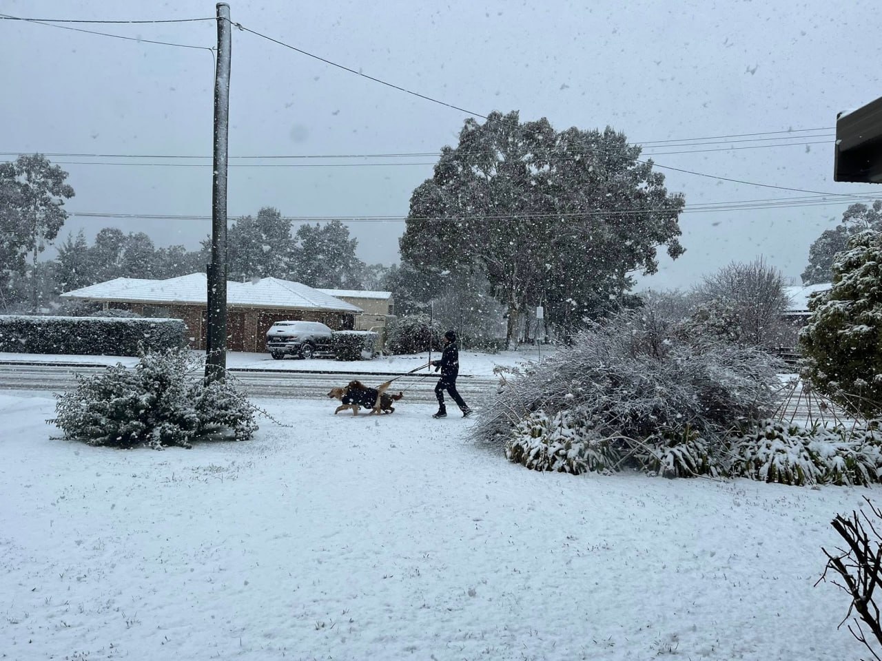 Австралию засыпает снегом