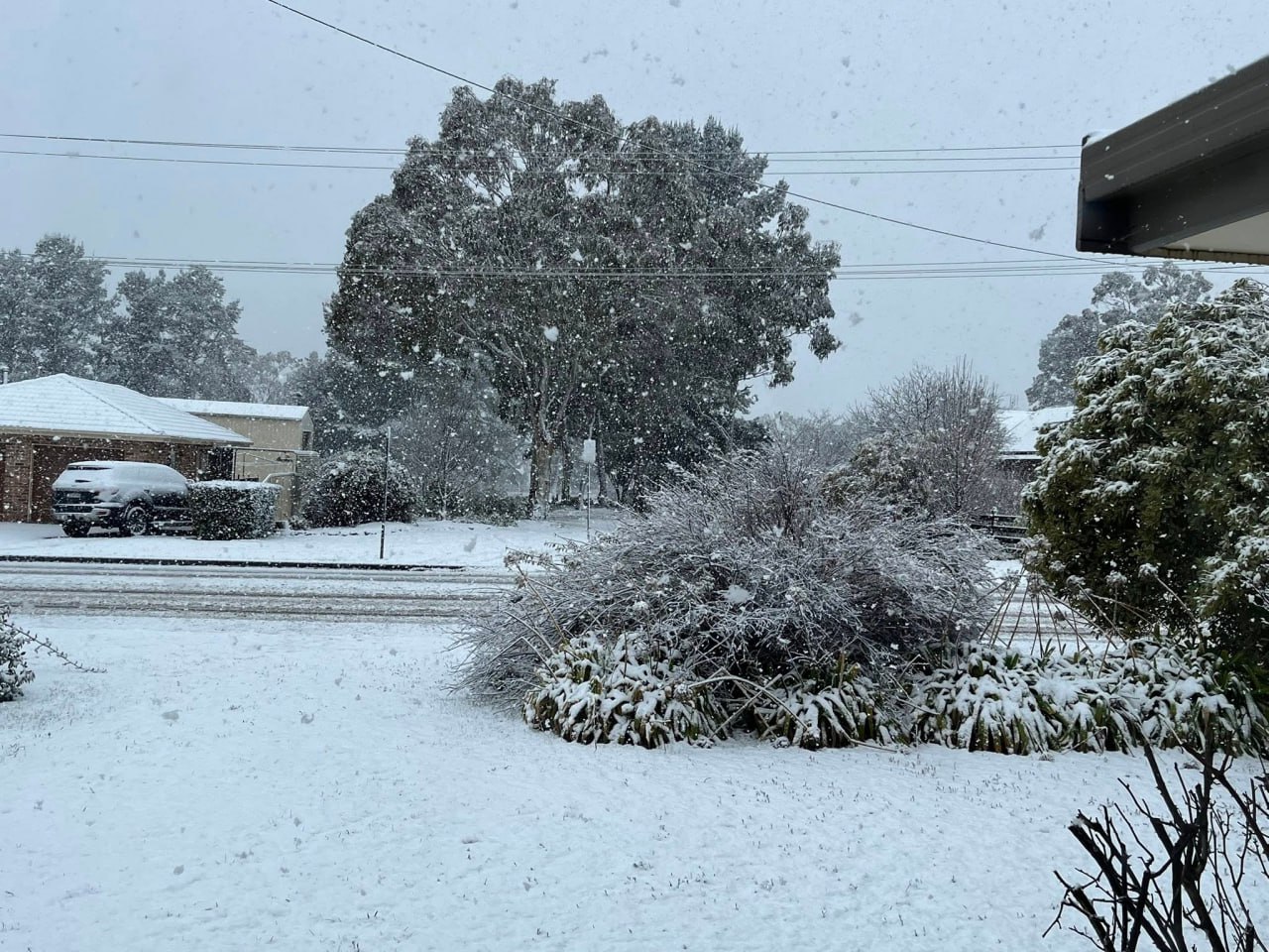 Австралию засыпает снегом