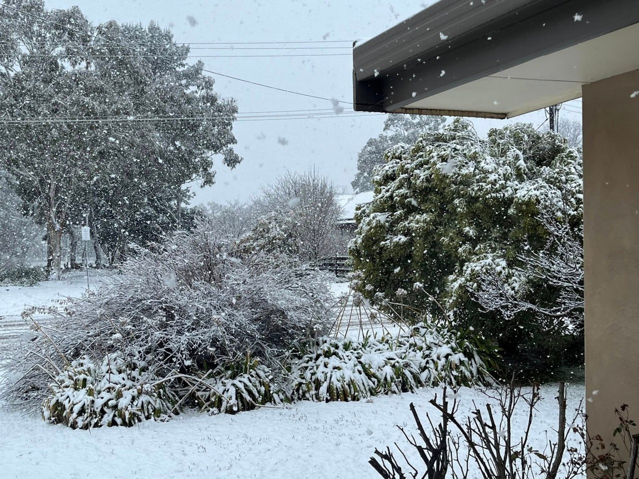 Австралию засыпает снегом