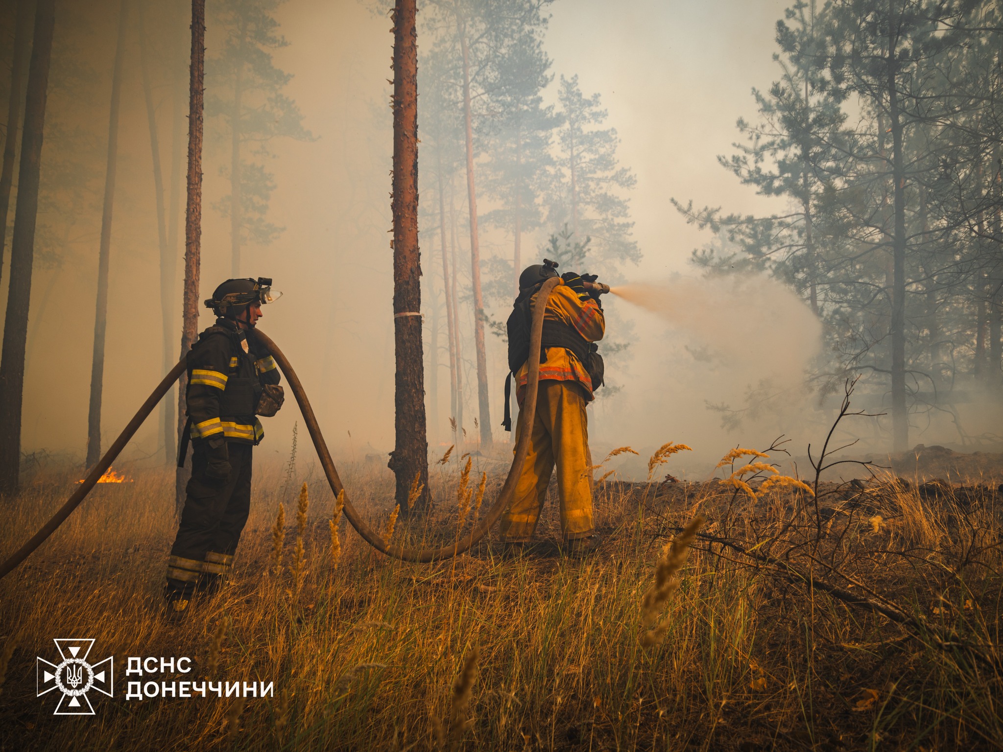 Фото: ГСЧС Донецкой области