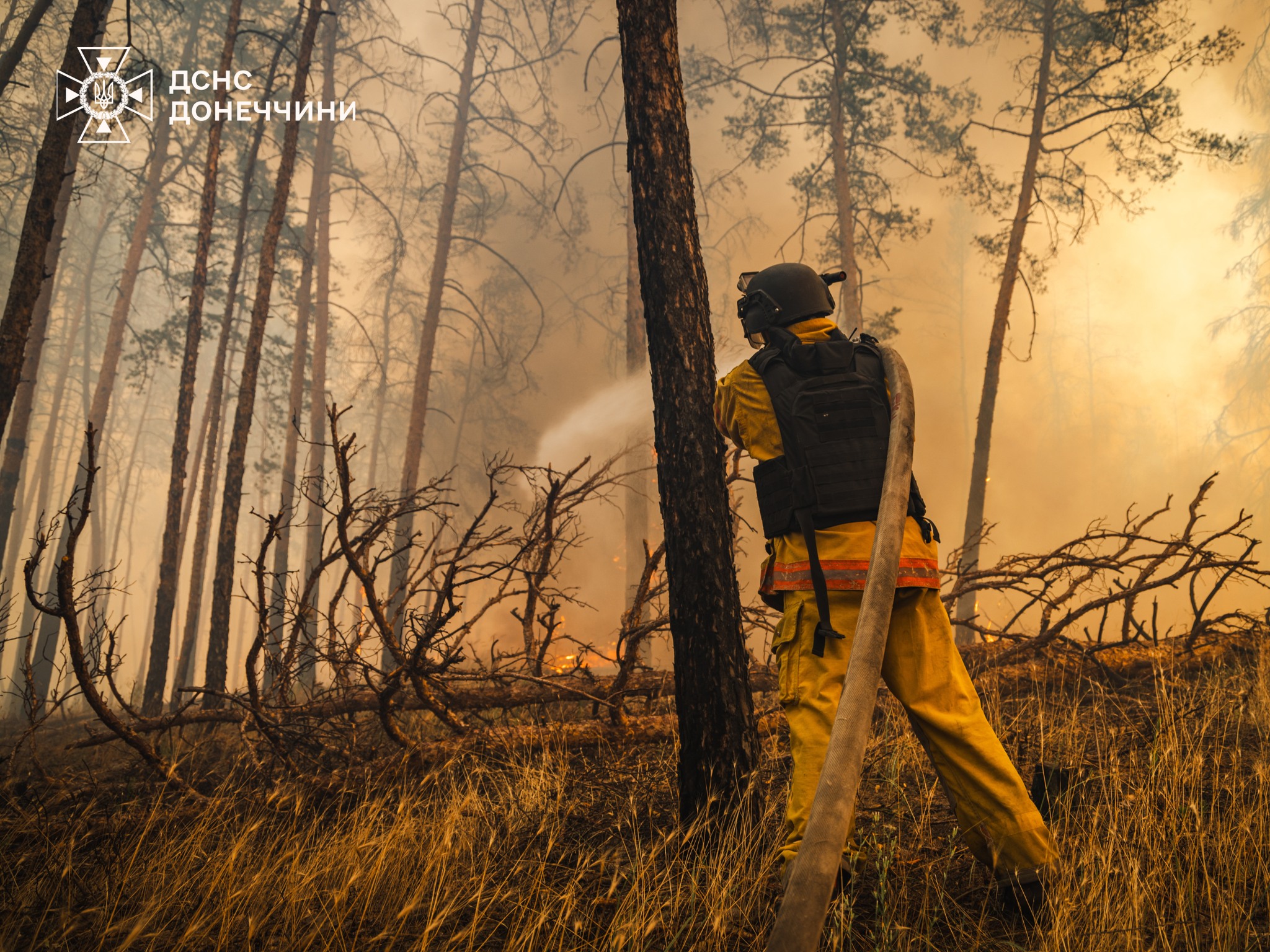 Фото: ГСЧС Донецкой области
