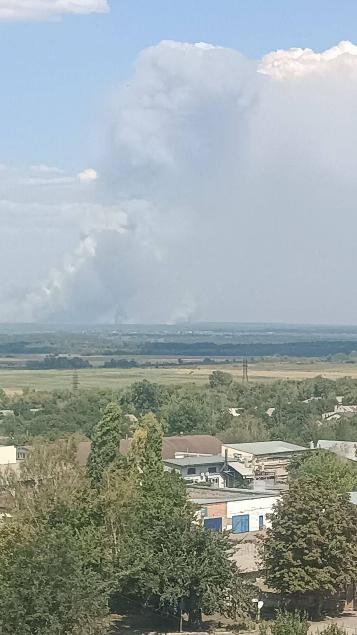 Лесные пожары на оккупированной Луганщине