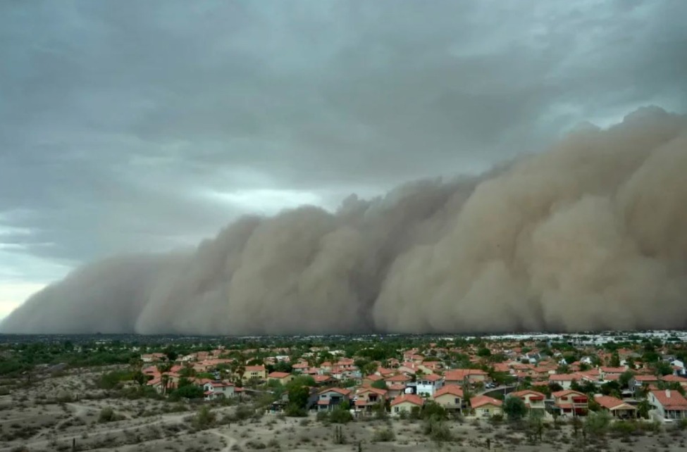 Фото: Franklin/AP