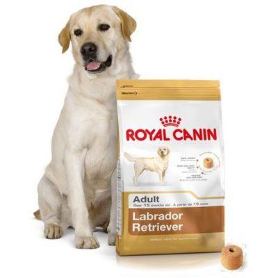 Royal Canin