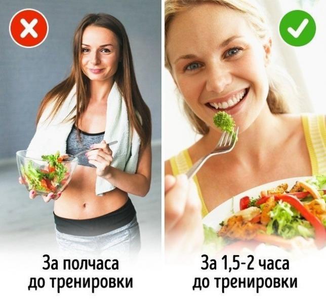 питание
