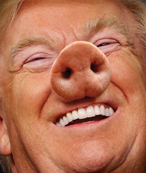 трамп