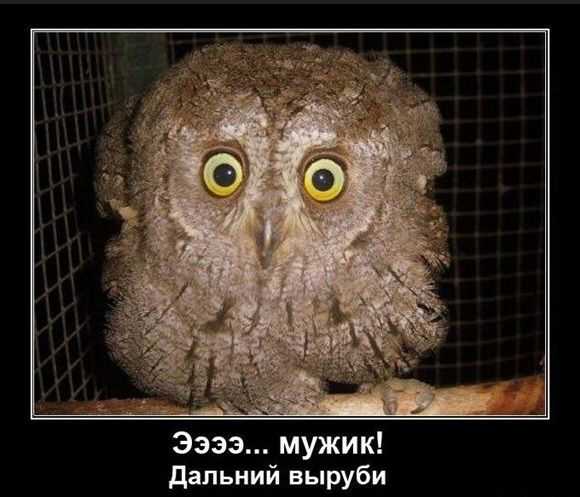 lolhome.ru