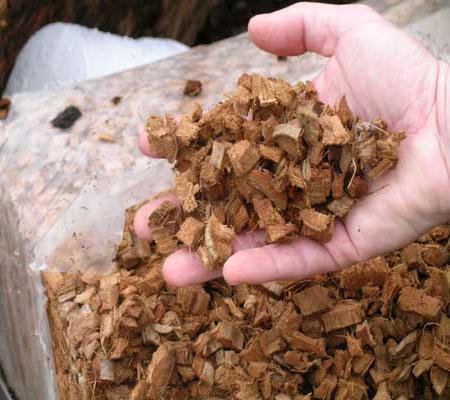 http://agronovika.com/kokosovye-substraty.html