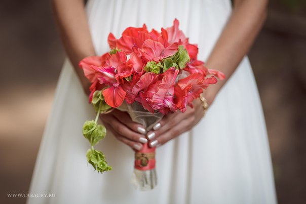 Квіти в подарунок