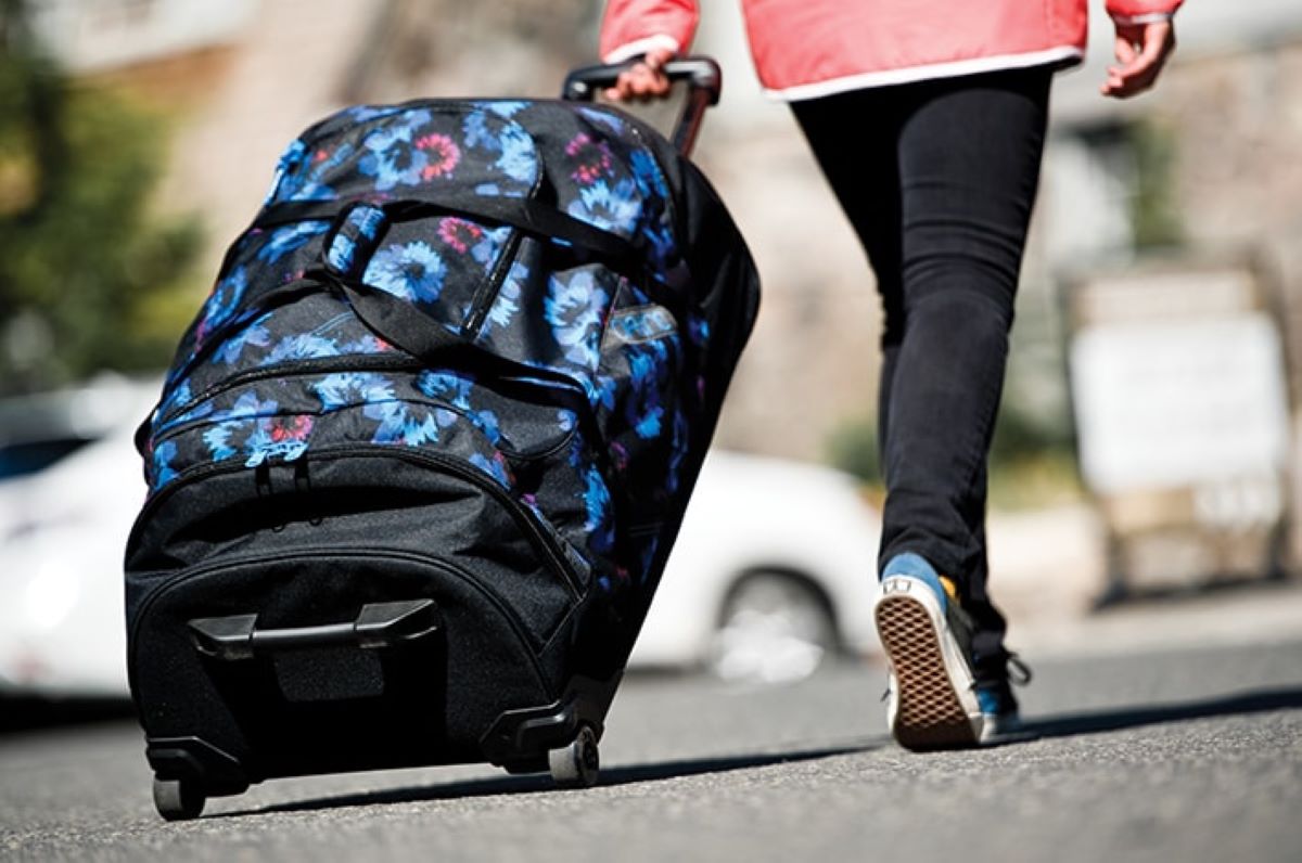 дорожные сумки