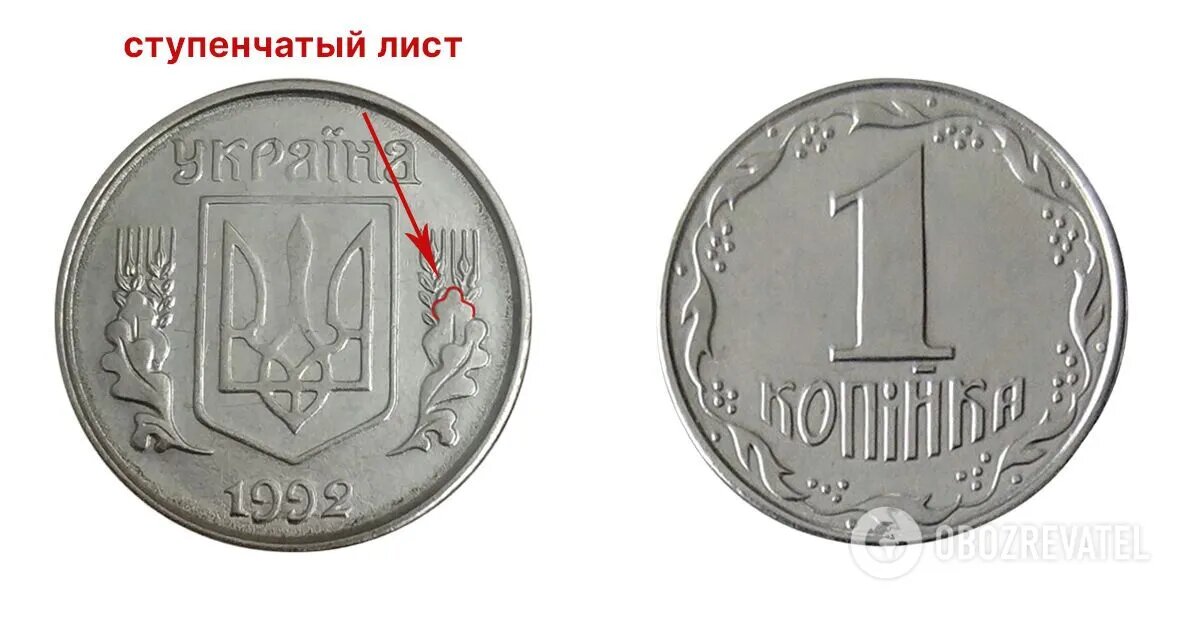 монета