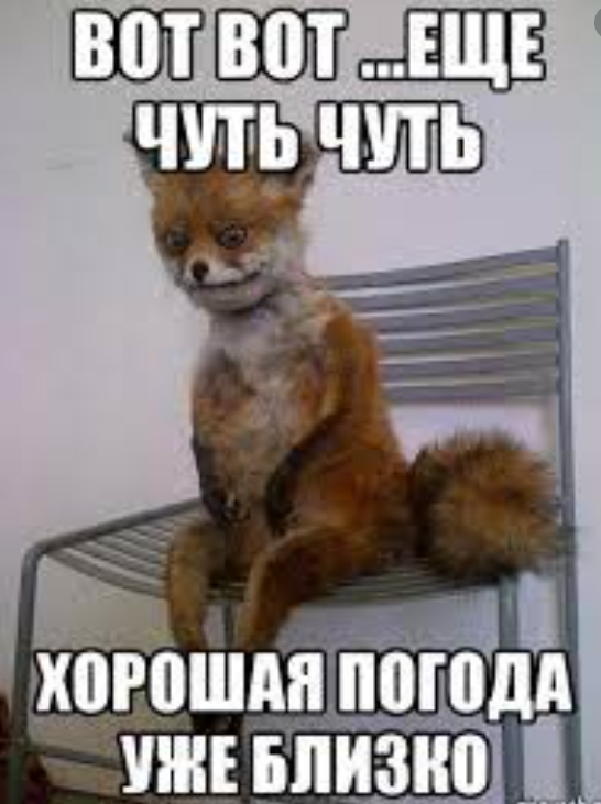 погода
