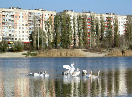 Чистое озеро в Северодонецке / Архивные фото